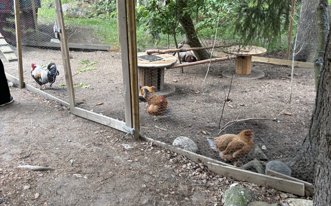 Ett besök en hel dag på Lyckelse parken med bilder